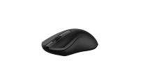 Rapoo B20 Silent Wireless Mouse 