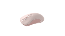 Rapoo B20 Silent Wireless Mouse – Pink