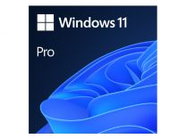 Microsoft Windows Pro 11