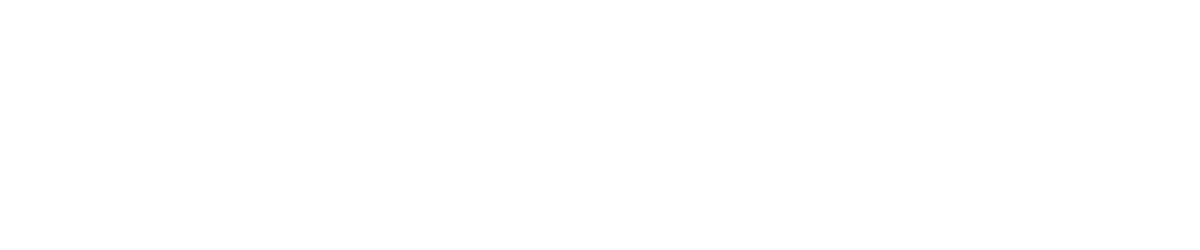 Prima Interactive